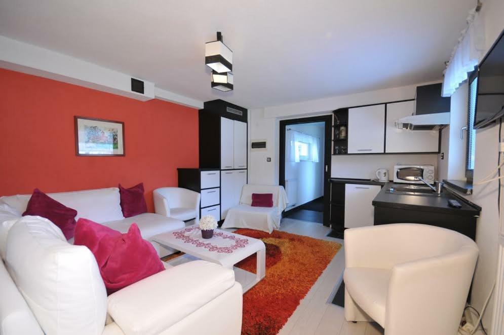 Apartmany Pod Troma Korunami Červený Kláštor Exteriör bild